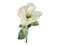 29" Snowy Artificial Magnolia Stem by TCT Crafts - Winter Floral Decor-White Christmas Magnolia Flower-83335WT